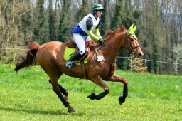 radolfzell-2015_cic1-243-jpg