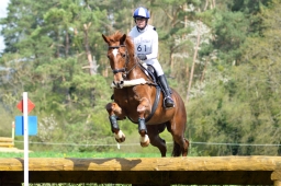 radolfzell-2015_cic1-244-jpg