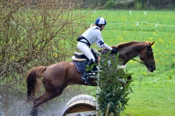 radolfzell-2015_cic1-245-jpg