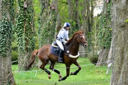 radolfzell-2015_cic1-246-jpg