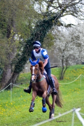 radolfzell-2015_cic1-248-jpg