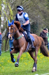 radolfzell-2015_cic1-249-jpg