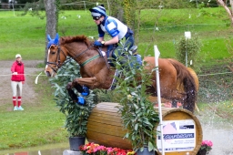 radolfzell-2015_cic1-251-jpg