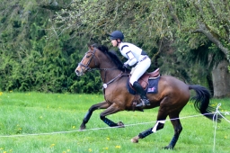 radolfzell-2015_cic1-255-jpg