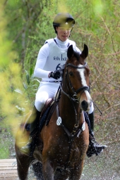 radolfzell-2015_cic1-258-jpg