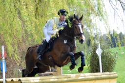 radolfzell-2015_cic1-259-jpg