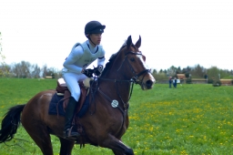 radolfzell-2015_cic1-260-jpg