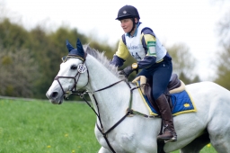 radolfzell-2015_cic1-262-jpg