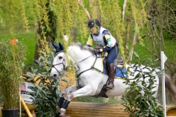 radolfzell-2015_cic1-263-jpg