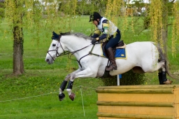 radolfzell-2015_cic1-264-jpg