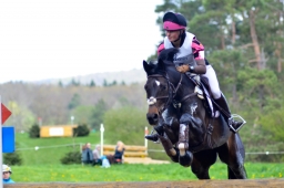 radolfzell-2015_cic1-265-jpg