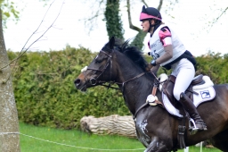 radolfzell-2015_cic1-266-jpg