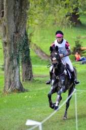 radolfzell-2015_cic1-267-jpg
