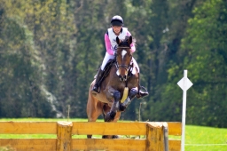 radolfzell-2015_cic1-270-jpg