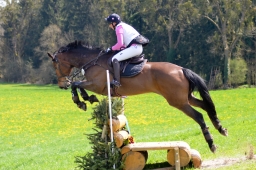 radolfzell-2015_cic1-271-jpg