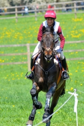 radolfzell-2015_cic1-272-jpg