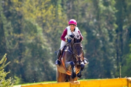 radolfzell-2015_cic1-274-jpg