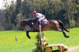 radolfzell-2015_cic1-275-jpg