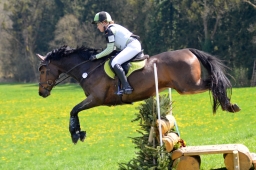 radolfzell-2015_cic1-278-jpg