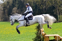 radolfzell-2015_cic1-281-jpg