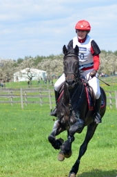 radolfzell-2015_cic1-282-jpg