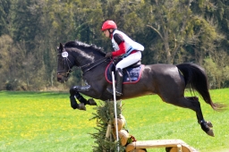 radolfzell-2015_cic1-283-jpg