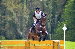 radolfzell-2015_cic1-286-jpg