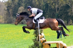 radolfzell-2015_cic1-287-jpg