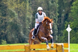 radolfzell-2015_cic1-289-jpg