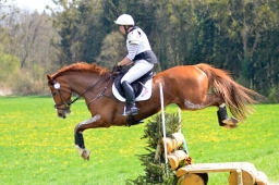 radolfzell-2015_cic1-290-jpg