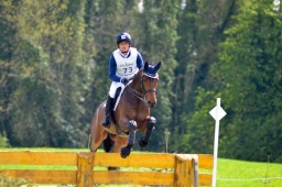 radolfzell-2015_cic1-291-jpg