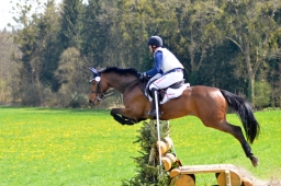radolfzell-2015_cic1-292-jpg