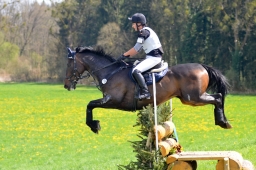 radolfzell-2015_cic1-296-jpg