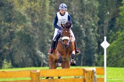 radolfzell-2015_cic1-298-jpg