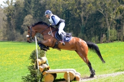 radolfzell-2015_cic1-299-jpg