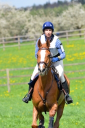 radolfzell-2015_cic1-301-jpg