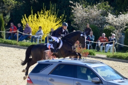 radolfzell-2015_cic2-springen-071