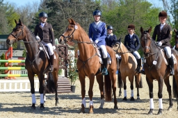 radolfzell-2015_cic2-springen-145