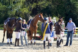 radolfzell-2015_cic2-springen-163