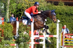 radolfzell-2015_cic2-springen-046