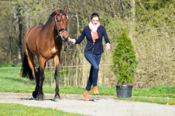 radolfzell-2015_verfassung-070