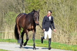 radolfzell-2015_verfassung-150