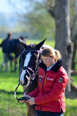 radolfzell-2015_verfassung-174