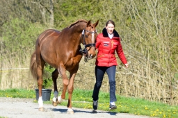 radolfzell-2015_verfassung-184