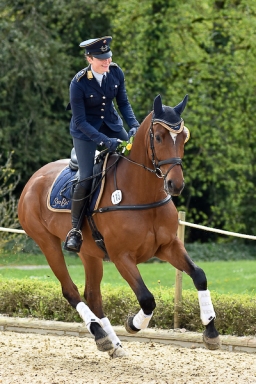 springen-cic1-jun_radolfzell-2016-122-jpg