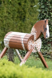 springen-cic1-jun_radolfzell-2016-035-jpg