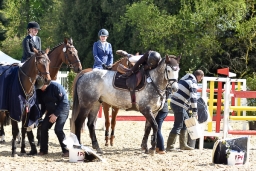 springen-cic1-jun_radolfzell-2016-146