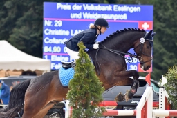 springen-sen_radolfzell-2016-016-jpg