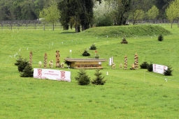 radolfzell-2017_cic1-003-jpg