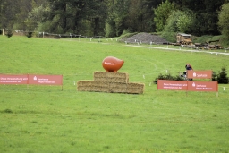 radolfzell-2017_cic1-005-jpg